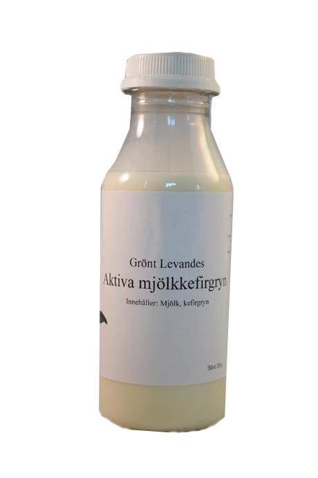 Grönt Levande Aktiva Mjölkkefirgryn